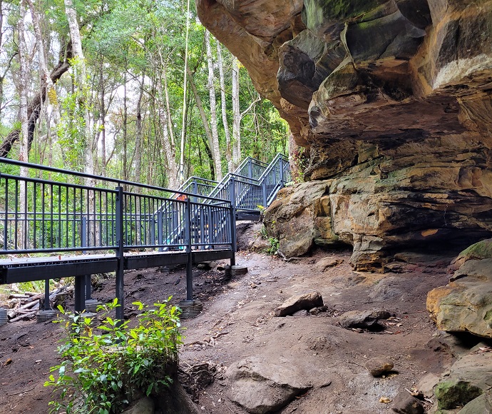 Morton National Park Glow Worm Glen Post Fires Infrastructure Rebuild Nl